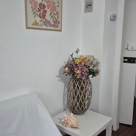 Maison 18 * לה ספציה